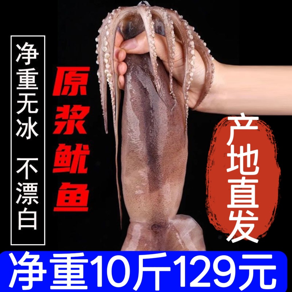 大鱿鱼净重10斤速冻冷冻鱿鱼尤鱼整只新鲜冰鲜生鲜乌贼海鲜水产,水产肉类/新鲜蔬果/熟食,冷冻鱿鱼,淘宝优惠券,粉丝福利购,淘宝优惠卷