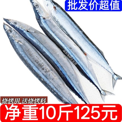 秋刀鱼新鲜新鲜大号海捕深海鱼日式秋刀鱼烧烤食材香煎生吃料理鱼