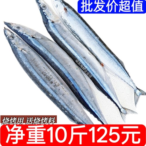 秋刀鱼新鲜新鲜大号海捕深海鱼日式秋刀鱼烧烤食材香煎生吃料理鱼