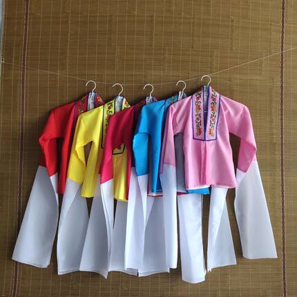 儿童戏曲练功服水袖彩裤男女童团体舞台演出服秦腔京豫剧小孩女披
