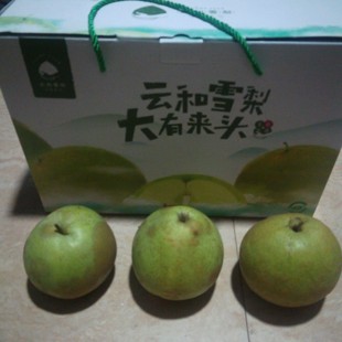 好货2023新品梨水果云和雪梨10斤礼盒包装优惠价 非汤山梨秋月梨