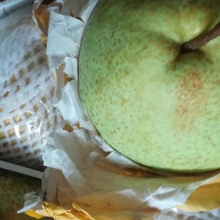 梯田云和雪梨当季梨子口味清甜秋月梨礼盒礼品当季梨子