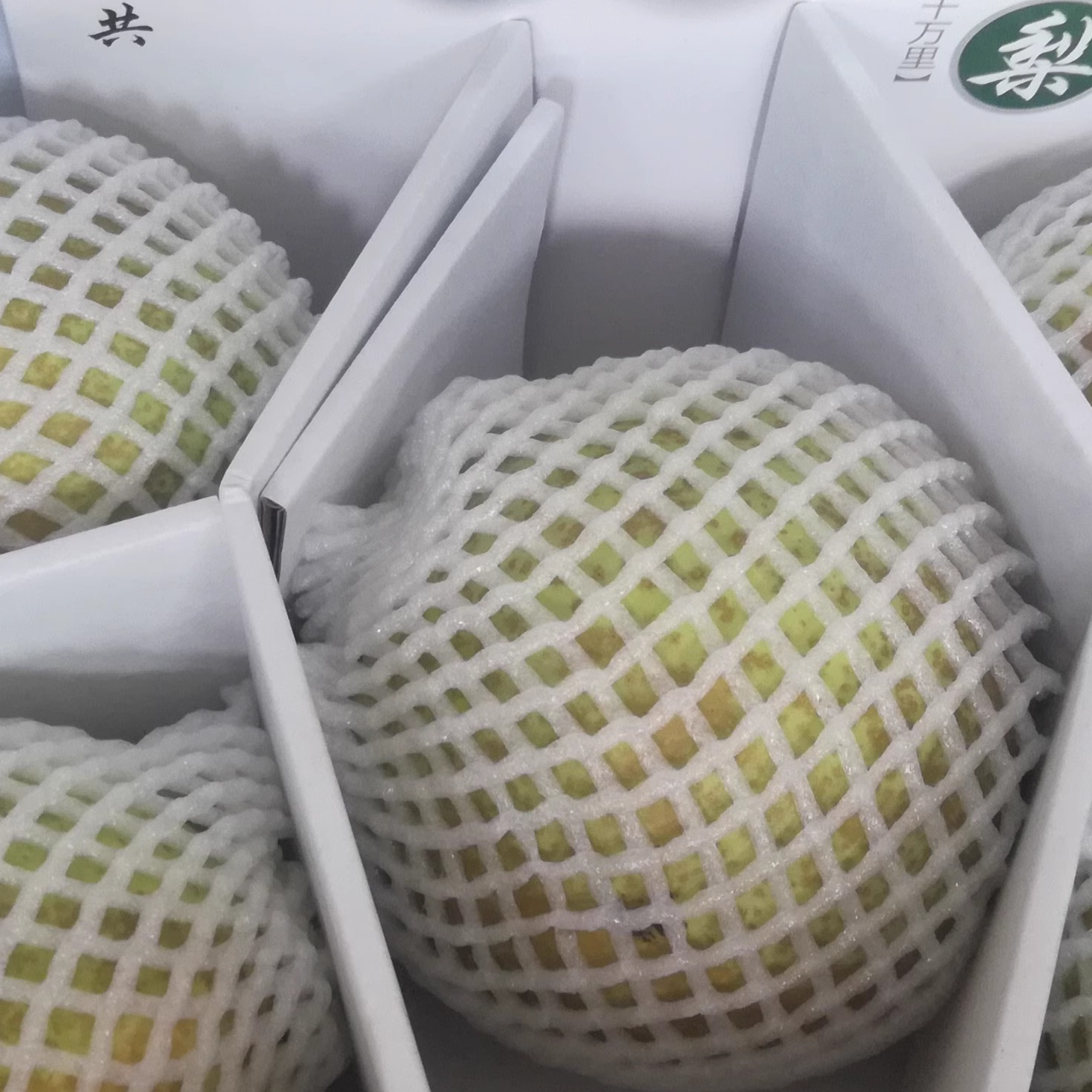 高山云和雪梨好吃好味道