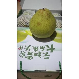 单个3斤云和雪梨 大大果梨皇礼盒包装礼品2023手机