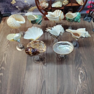 海螺贝壳摆件  海螺酒杯支架 桌面创意装饰 容器酒杯收纳香薰