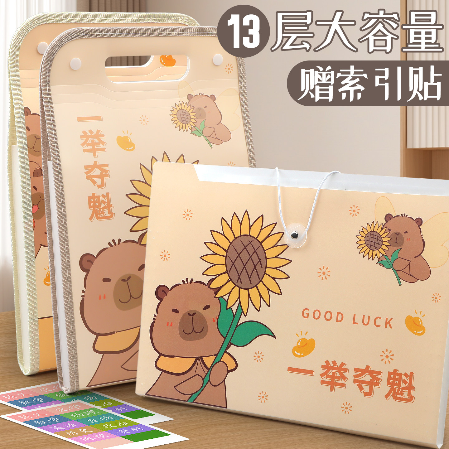 12层加厚材质可适放书包尺寸