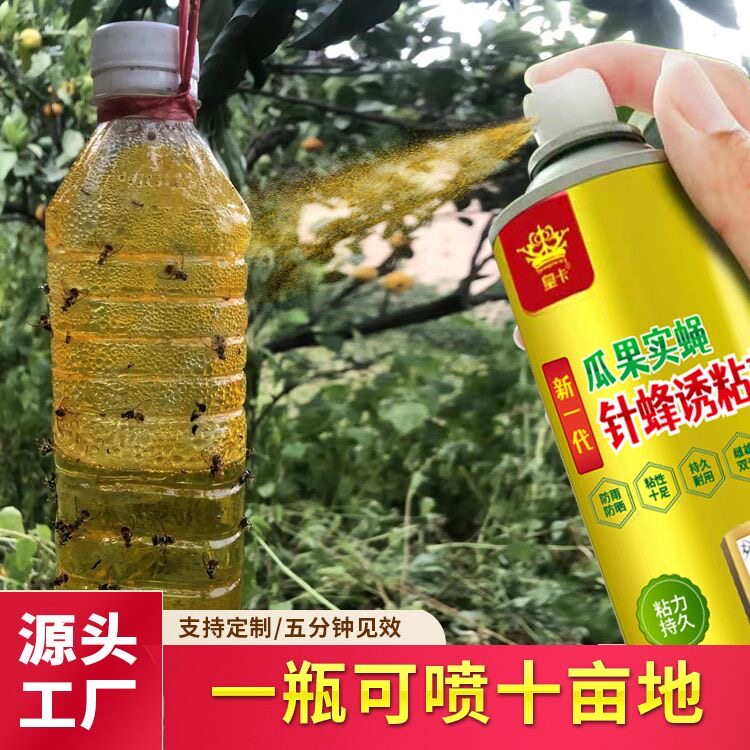 瓜果实蝇针锋克星诱粘剂果园粘虫板灭果蝇神器昆虫引诱剂