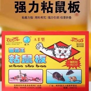 到手20张老鼠神器粘鼠胶水强力胶老鼠贴 粘鼠板超强力粘板老鼠贴