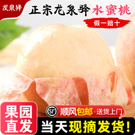 正宗四川龙泉驿水蜜桃当季现摘新鲜水果白凤5斤桃子湖景玉露礼盒