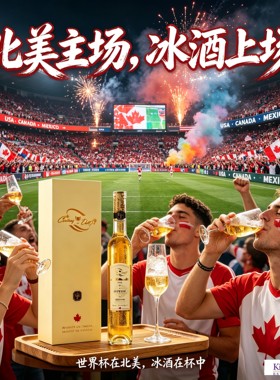 IceWine加拿大原装进口珍稀美酒