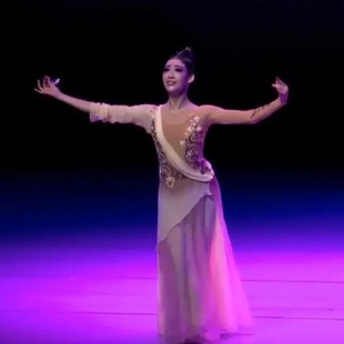 舞台演出服古典舞服装寒依疏影舞蹈服民族服装桃李杯