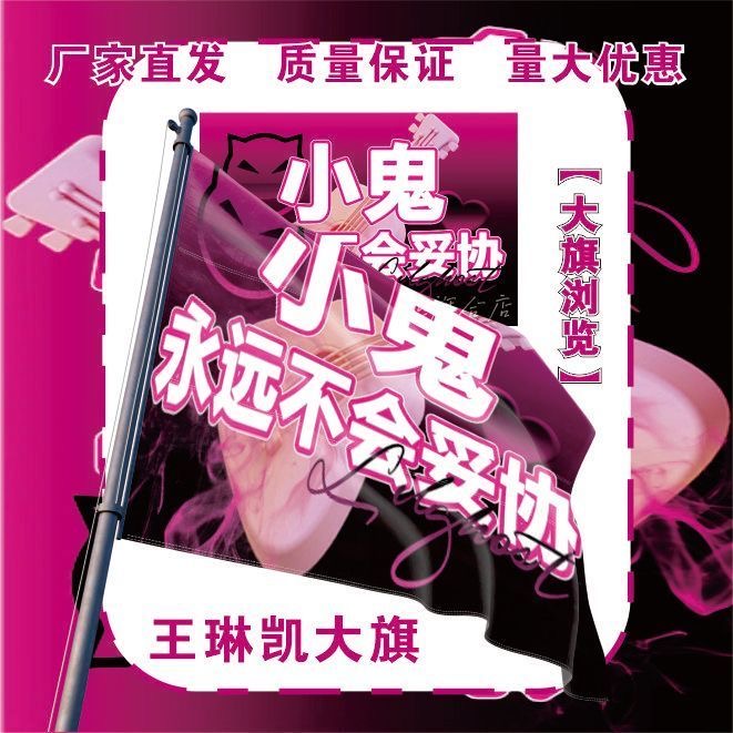 王琳凯应援大旗明星演唱会手持应援旗户外音乐节应援旗定制代发