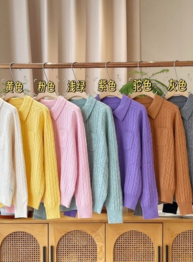 妞妞家秋季新品女士简约复古麻花翻领长袖羊毛经典套头针织24531