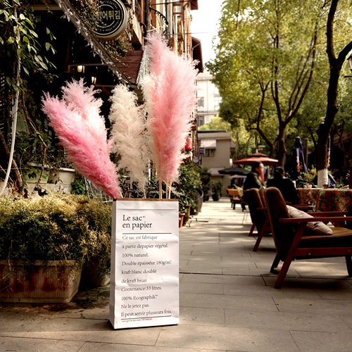 粉色装饰芦苇蒲苇干花真花花束