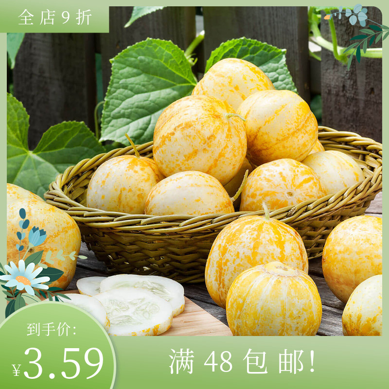 进口传家宝有机种子 柠檬黄瓜Cucumber 可食用多汁蔬菜水果花园