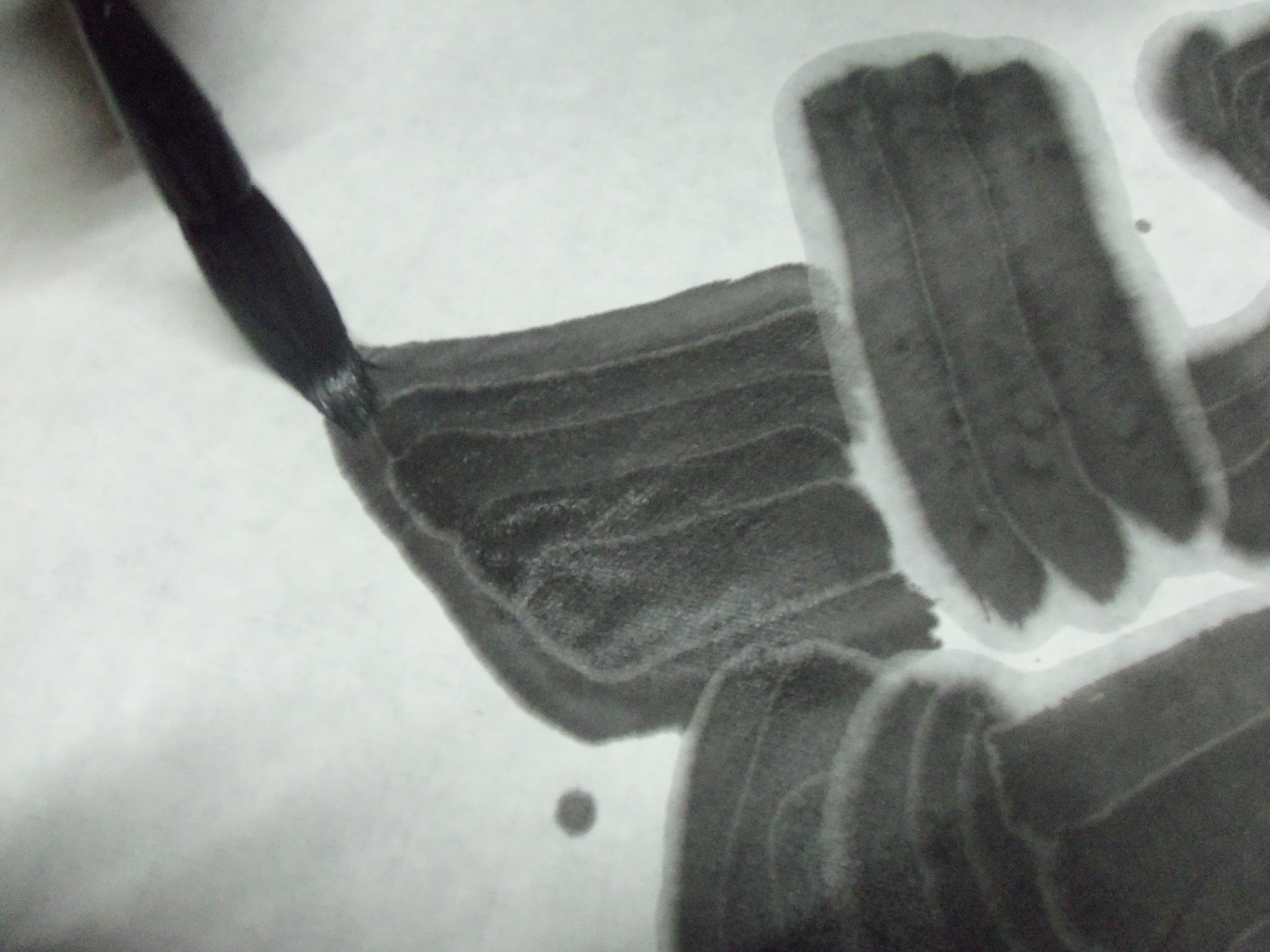 宣纸安徽泾县四六尺手工古法对开