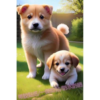 可爱金毛柴犬狗狗贴画自粘房间柜门墙上定制动物画像贴纸装饰壁画