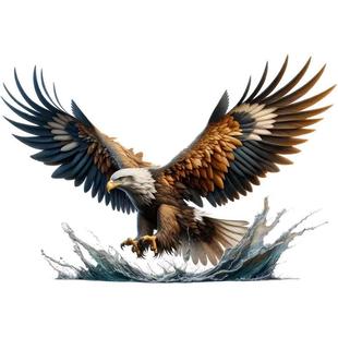 雄鹰大鹏展翅新款贴纸车贴玻璃门窗贴墙上破洞遮瑕美观装饰贴画