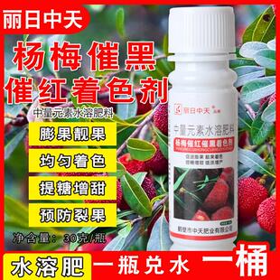 杨梅催红催黑着色剂中量元素水溶肥促果提糖增甜防裂果催红着色剂