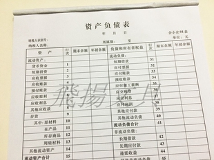 立信资产负责表财务报表财会报表用品资产负债表损益表利润表