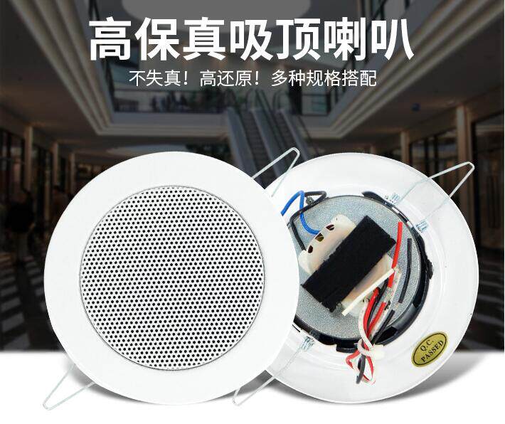 euroshine吸顶音箱天花板喇叭吊顶公共广播背景音乐嵌入式音响