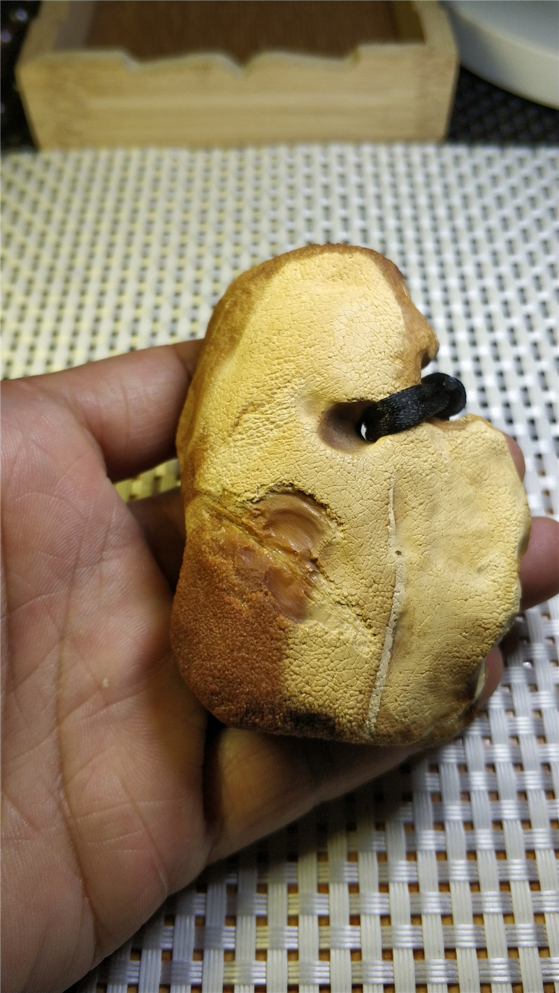 纯天然琥珀蜜蜡全皮原石妖孽花蜡瓷白天然孔原石原矿吊坠牌子料