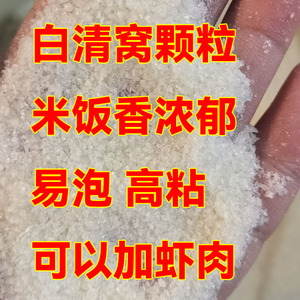 米饭颗粒鱼饵滑口鱼克星鲫鱼鲤鱼清窝素饵黑坑白米饭虾搓