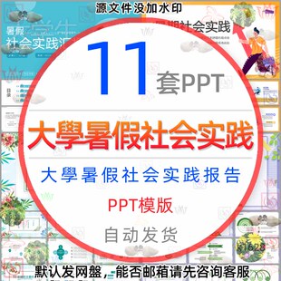 夏季 夏天暑假社会实践工作汇报wps 大学生暑期社会实践报告PPT模版