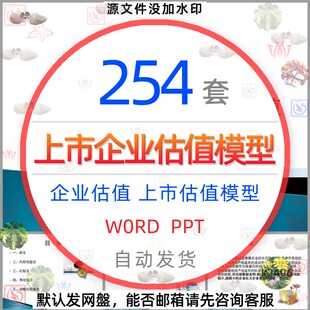 企业估值资料VC投资创业上市公司融资PE估值DCF模型财务评估报告1