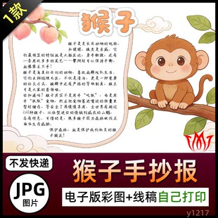 动物猴子介绍手抄报图片猴年猴子简介电子小报黑白线稿海报素材A4