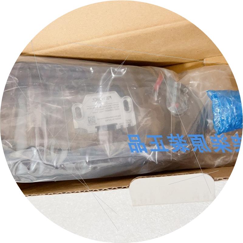 议价GS-71P5 GS-51P5/71N10电磁锁定安全门开关GS-B41 GS-1