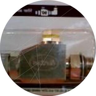 议价 LINE1007232 SATURN FILTER 诺信 在线过滤器总成