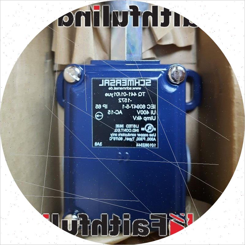 议价Schmersal 101062344 施迈赛安全开关 TQ 441-01/01Y咨询客服