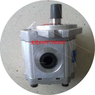 RZA液压泵 26002 议价伊顿齿轮泵26001 LZK