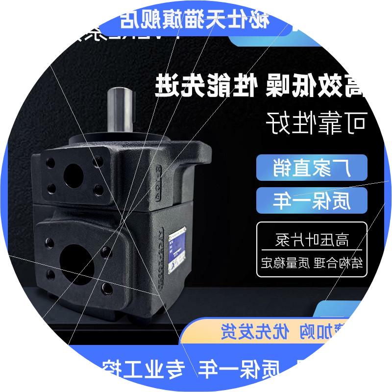 议价YLC仙居永灵PV2R2-/33/41/47/53/59/65/70/75/79F1高压油泵叶