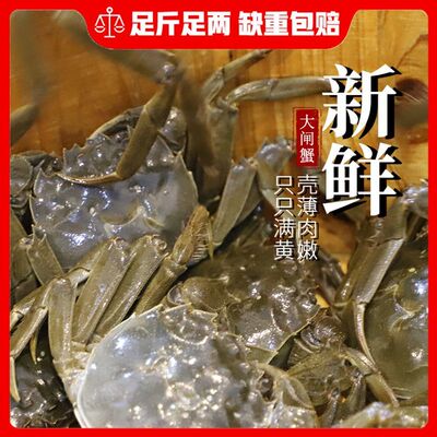 活蟹12只大闸蟹鲜活六月黄螃蟹现货海鲜水产河蟹洪泽湖霸王蟹礼盒