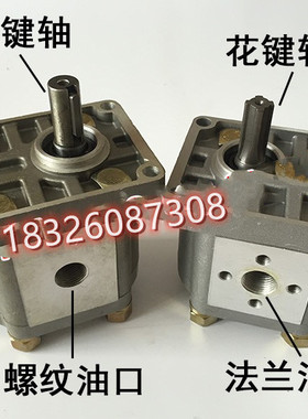 CBW-E306/310/314/316-ALP ALB CLPL CFH原装正品合肥液压齿轮泵