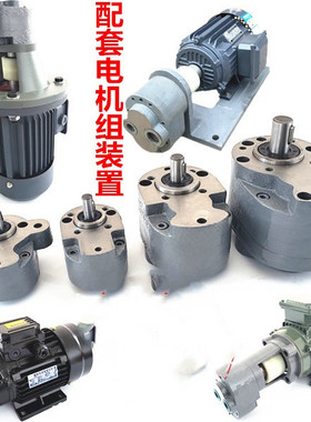 BB-B4/8/10/20/25江苏泰兴低压液压齿轮泵 液压机  安徽 特价