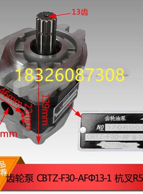 叉车配件齿轮油泵13齿CBTZ-F30-AFΦ13L齿轮泵杭叉R50-70N齿轮泵