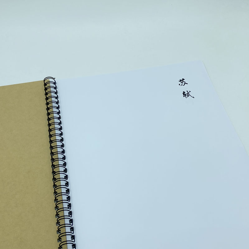 (定制字帖）苏轼词选硬笔钢笔