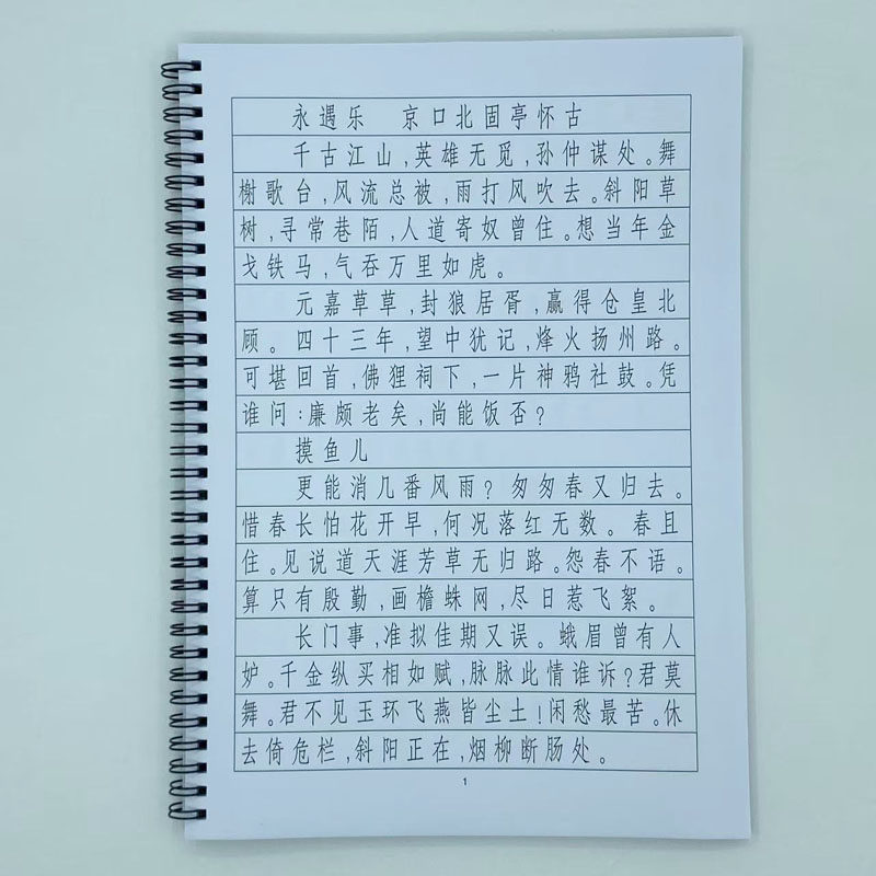 （定制字帖）长仿宋体辛弃疾词集