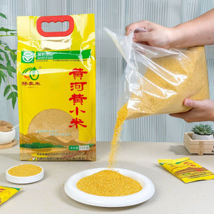 好家米黄河黄小米 小袋量贩装 陕西渭南合阳小米粥营养新鲜有米油