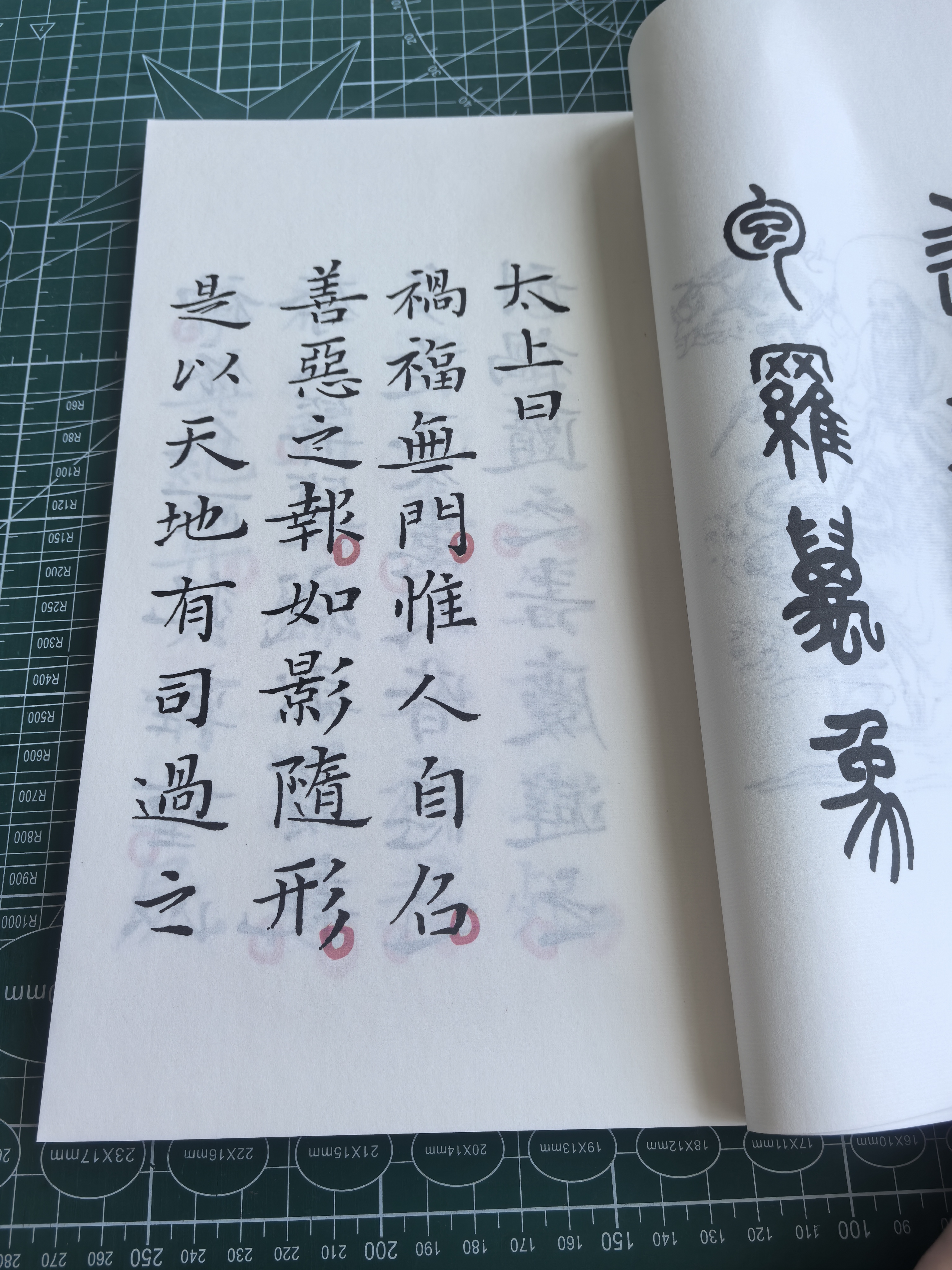 小楷书法杨文彪太上感应篇宣纸线装清静经赵孟頫手写练字抄本集字