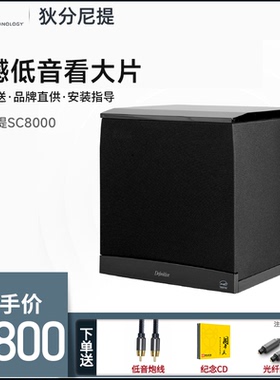 狄分尼提 DT音箱 SC8000 11英寸专业有源低音炮 家庭影院低音炮