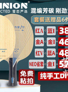 莹恋银河PRO-01专业1号碳素乒乓球底板球拍省队用ALC蝴蝶VISCARIA