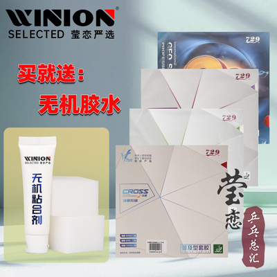 莹恋友谊729普及套装双片gs对套