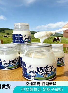 空运发货新疆网红酸奶伊犁大草原菌牧元奶皮子手工酸奶251克包邮