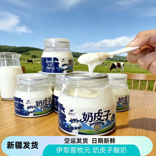 空运发货新疆网红酸奶伊犁大草原菌牧元奶皮子手工酸奶251克包邮