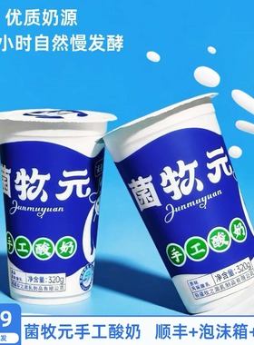 顺丰空运菌牧元手工酸奶新疆正宗酸奶320g大杯装新疆手工酸奶