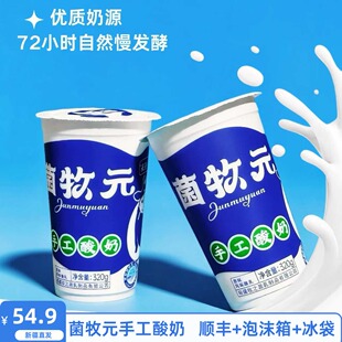 顺丰空运菌牧元 新疆手工酸奶 手工酸奶新疆正宗酸奶320g大杯装